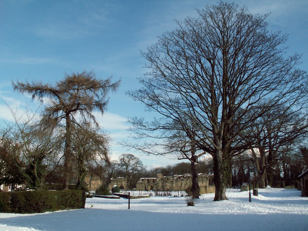 Abbey032