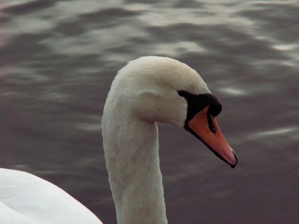 An086